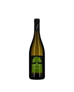 Scubla Friuli Colli Orientali DOC Friulano