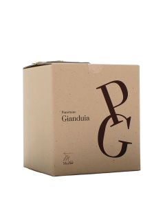 Pasticceria Marisa  Panettone al Gianduia