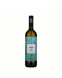 Vigneti Vallorani Falerio DOC Avora