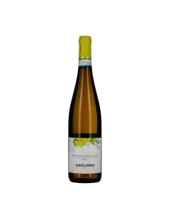 Montecappone Verdicchio dei Castelli di Jesi DOC Classico