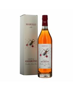 Distilleria Santa Teresa dei F.lli Marolo  Grappa di Amarone Riserva