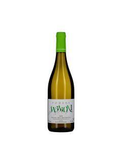 Podere I Sabbioni Colli Maceratesi DOC Ribona