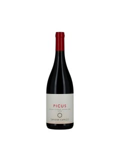 Simone Capecci Rosso Piceno DOP Superiore Picus