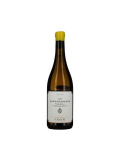 Foradori Vigneti delle Dolomiti IGT Nosiola "Fontanasanta"