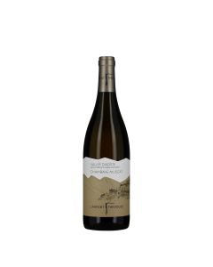 Laurent Theodule Vallée d'Aoste DOC Chambave Muscat