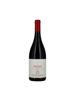 Simone Capecci Rosso Piceno DOP Superiore Picus