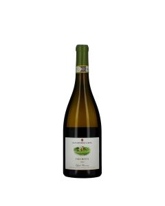 San Michele a Ripa Offida DOCG Pecorino Falchetti