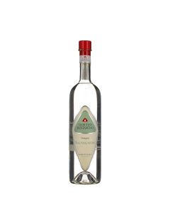 Distilleria Maschio Beniamino