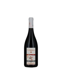Azienda Agricola Fiorano Marche IGT Rosso Ser Balduzio