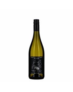 Santa Barbara  Animale Celeste