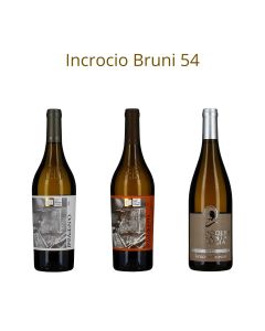 INCROCIO BRUNI 54