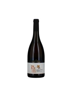 Villa Corniole Vigneti delle Dolomiti IGT Pinot Grigio Ramato Pietramontis