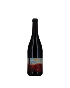 Roberto Venturi Marche IGP Rosso Balsamino