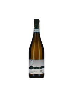 Roberto Venturi Verdicchio dei Castelli di Jesi DOC Classico Superiore Qudì