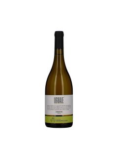 Tenuta San Bartolomeo Umbria IGT Uguale