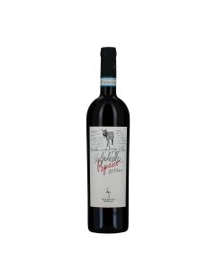 Secondo Marco Valpolicella Ripasso DOC Classico Superiore