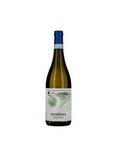 Terralibera Verdicchio dei Castelli di Jesi DOC Classico Superiore