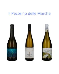 PECORINO DELLE MARCHE