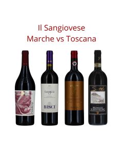 SANGIOVESE MARCHE VS TOSCANA