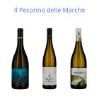 PECORINO DELLE MARCHE