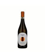 Poderi Mattioli Castelli di Jesi Verdicchio Riserva DOCG Classico - "Lauro"