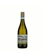 Vigne di Leo Verdicchio dei Castelli di Jesi DOC Classico