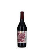 Tenuta Santi Giacomo e Filippo Marche IGT Rosso - "Fortercole"