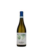 Terralibera Verdicchio dei Castelli di Jesi DOC Classico Superiore