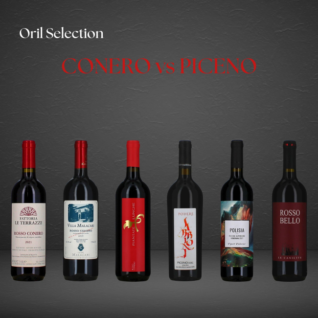 Oril Selection - Conero vs Piceno